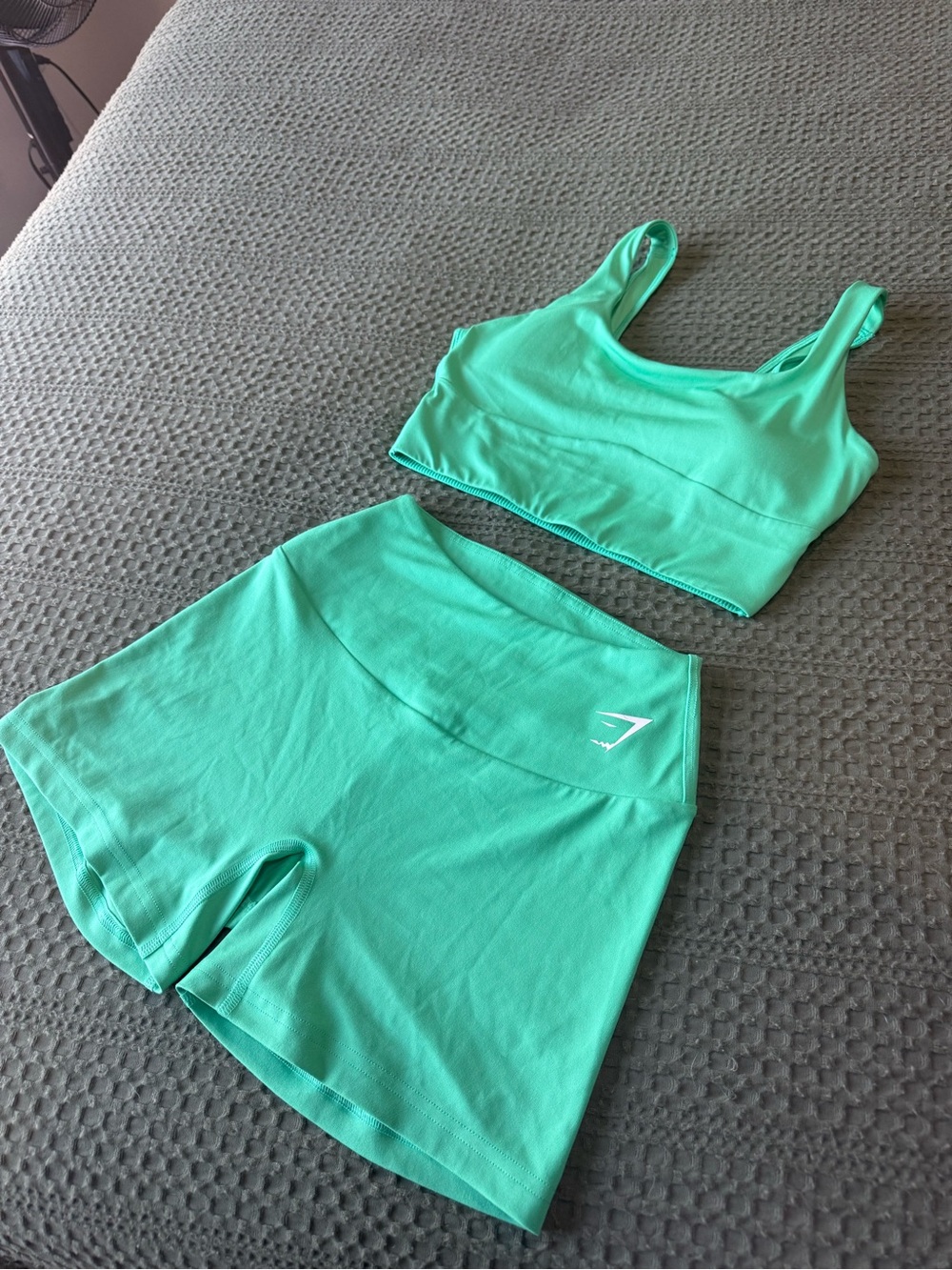 Gymshark Mint Green Seamless Crop Top and High-Waist Shorts Set